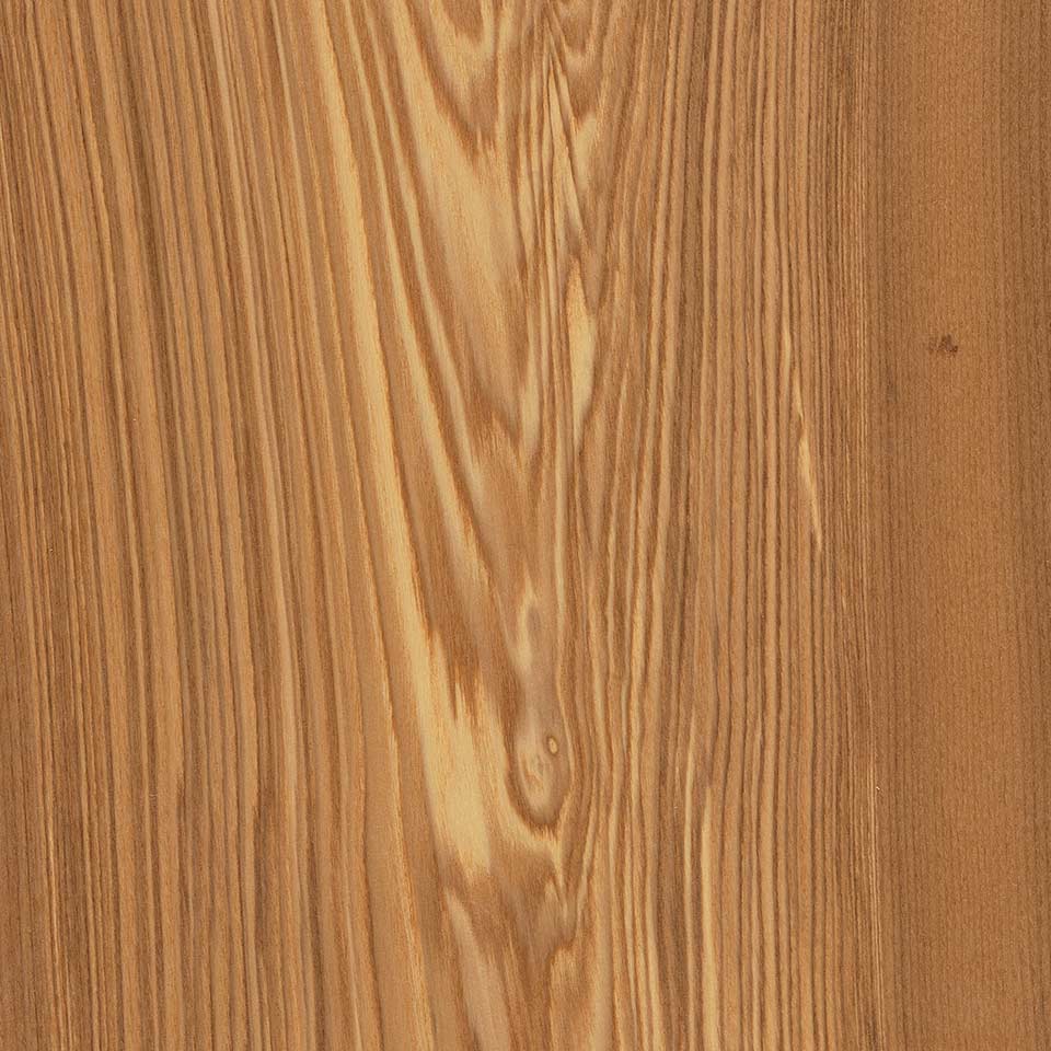 Evropský jasan (stáří dřeva 80-120 let)