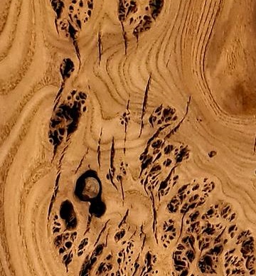 Očkový topol (stáří dřeva 150-200 let)
